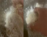 簡単！全粒粉手作り生地キッシュロレーヌ♪作り方2写真