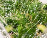 夏野菜の白だしミルフィーユ作り方5写真