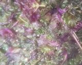 #疲労回復#赤しそジュースHAPPY時間作り方9写真