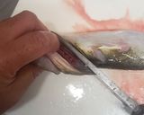 なべじ流 マゴチの簡単なさばき方作り方10写真