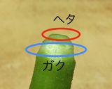 オクラ・きゅうり・塩昆布めんつゆ漬け♪作り方1写真