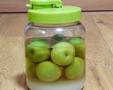 お酢×梅でさっぱり！わかやま梅サワー作り方4写真