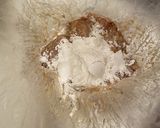 子供たち絶賛！鶏むね肉の唐揚げ作り方4写真