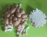 【響王】で鶏のむね肉の竜田揚げ作り方16写真