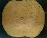 ホームベーカリー｜レモンケーキ作り方14写真