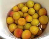 自家製梅干し作り方7写真