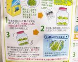 6月は、梅シロップ・梅酒の季節作り方15写真