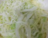 簡単ミルウ入りキャベツオムレツ作り方1写真