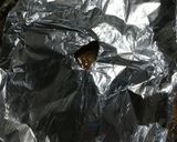 我が家の鯛のあら炊き作り方5写真