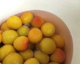 自家製梅干し作り方8写真