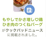 もやしでかさ増し♡鶏ひき肉のつくねバーグ作り方11写真