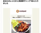 鶏皮のカリカリ・鶏油も取り置き料理に使う作り方11写真