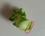 ブロッコリーの芯♪ふわっとカルボナーラ作り方7写真