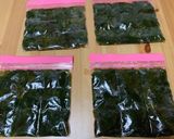 生ワカメの下茹でと冷凍保存作り方4写真
