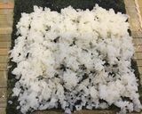 豚コマキンパ作り方5写真