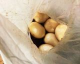 味玉に!アゴだしで最高に簡単美味しい作り方3写真