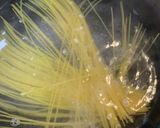 ベーコンとトマトのパスタ作り方7写真