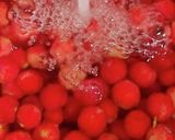 果実酒用ブランデーDE！ヤマモモ酒作り！作り方10写真