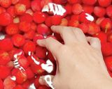 果実酒用ブランデーDE！ヤマモモ酒作り！作り方12写真