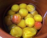 自家製紫蘇梅干し作り方8写真