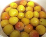 自家製梅干し作り方9写真