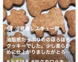 洗い物1つ！ココアのクッキー！10分で！作り方12写真
