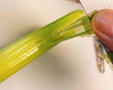 材料は1つ!セロリのきんぴら作り方1写真