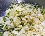 簡単】きゃべつと大根の葉っぱの塩揉み作り方1写真
