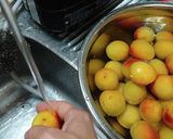 梅甘糀♡手作り甘糀と梅で夏バテ防止作り方3写真