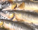 甘露煮で作るアユ寿司【食遺産】作り方2写真
