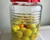 梅酒作り作り方5写真
