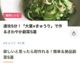 簡単！きゅうりとみょうが、大葉の浅漬け作り方10写真