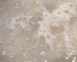 ライスパスタでジュノベーゼ作り方6写真
