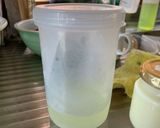 こっくり・濃いフローズンヨーグルト作り方11写真
