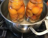 あんずのシロップ漬け作り方4写真