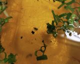 うちのやり方♤こだわりの温め方〜たこ焼き作り方21写真