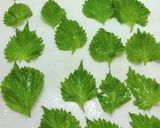 大葉と胡麻のドレッシング　大葉たっぷり作り方1写真