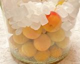 完熟梅のブランデーベースリキュール酒！作り方12写真