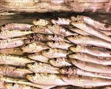 簡単な小鯖の唐揚げ作り方1写真