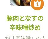 豚肉となすの辛味噌炒め作り方11写真