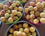 干さない梅干!作り方1写真