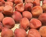 梅干し、昔ながらのしょっぺぇやつ作り方29写真