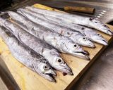 太刀魚の炙り刺作り方1写真