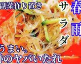 暑い日に絶対作る！やみつき春雨サラダ作り方4写真