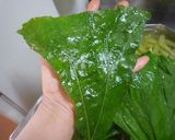 もったいない！ふきの葉っぱ作り方1写真
