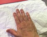 ナスの焼きびたし作り方10写真