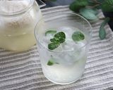飲む点滴！栄養満点の生米麹で作るこうじ水作り方4写真
