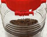 香り最高！！コーヒー酒作り方7写真
