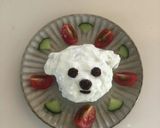 ワンコのケーキ　ヨーグルト　マルチーズ作り方9写真