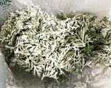 人参の葉っぱと玉ねぎの天ぷら作り方5写真